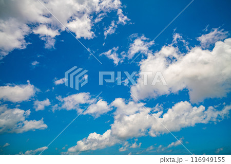 Sky and cloud nature environment landscape background ,Good weather day background Nature sky background 116949155