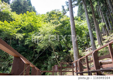 荒船風穴 蚕種貯蔵所跡 整備された見学コース 荒船風穴 蚕種貯蔵所跡 整備された見学コース 116949164