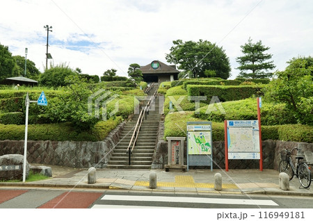 葛飾区柴又公園 116949181