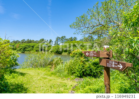 井田の明神池　砂嘴の先端が湾を閉じる形になった砂州　海から切り離されてしまった淡水湖 116949231