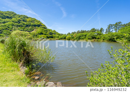 井田の明神池　砂嘴の先端が湾を閉じる形になった砂州　海から切り離されてしまった淡水湖 116949232