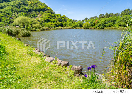 井田の明神池　砂嘴の先端が湾を閉じる形になった砂州　海から切り離されてしまった淡水湖 116949233