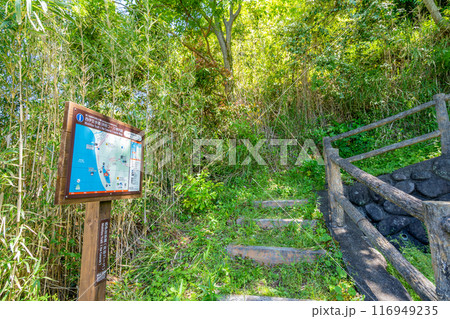 井田の明神池 砂嘴の先端が湾を閉じる形になった砂州 海から切り離されてしまった淡水湖 井田の明神池 砂嘴の先端が湾を閉じる形になった砂州 海から切り離されてしまった淡水湖 116949235