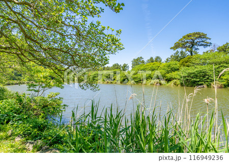 井田の明神池 砂嘴の先端が湾を閉じる形になった砂州 海から切り離されてしまった淡水湖 井田の明神池 砂嘴の先端が湾を閉じる形になった砂州 海から切り離されてしまった淡水湖 116949236