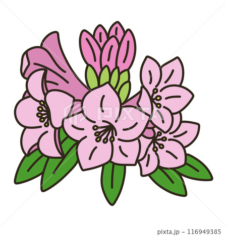 シャクナゲ 116949385