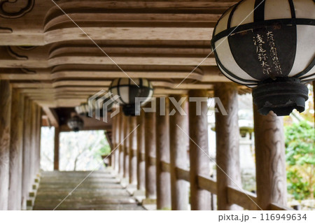 【奈良】秋の長谷寺【花の御寺】 116949634