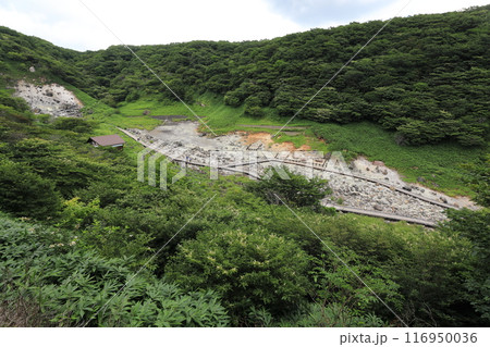 那須温泉神社から見下ろす殺生石のある賽の河原 那須温泉神社から見下ろす殺生石のある賽の河原 116950036