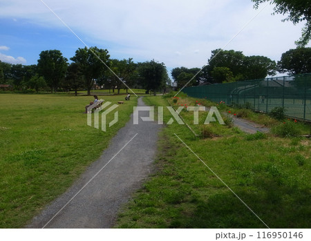 のんびり 116950146