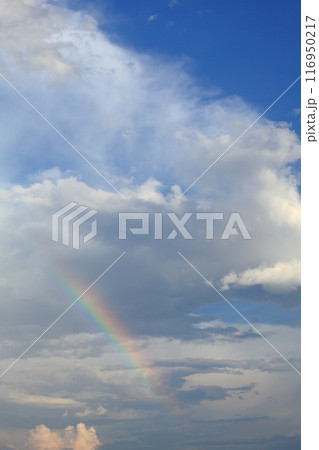 虹と青空 虹と青空 116950217
