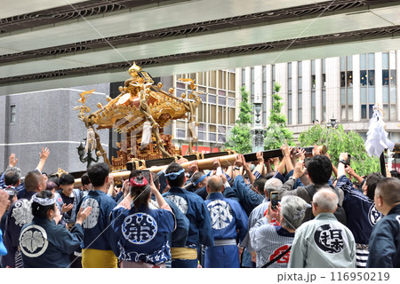 日本橋で神輿を天に差し上げる祭り人 116950219