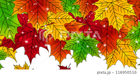 紅葉　葉　秋　背景	 116950510