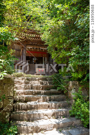 京都 宇治上神社 春日神社 京都 宇治上神社 春日神社 116950688