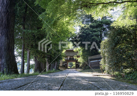 茨城 西念寺の参道(笠間市) 茨城 西念寺の参道(笠間市) 116950829