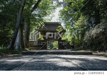 茨城 西念寺の山門(笠間市) 茨城 西念寺の山門(笠間市) 116950831