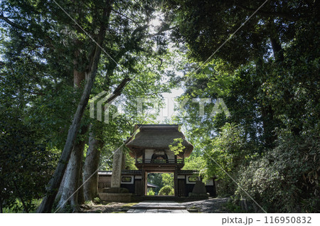 茨城　西念寺の山門（笠間市） 116950832