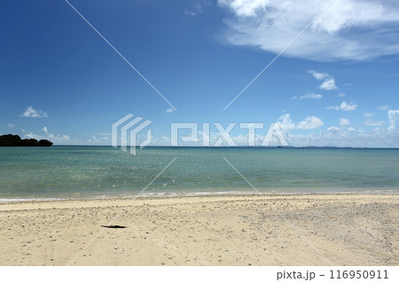 沖縄 夏の美しい海 イメージ 沖縄 夏の美しい海 イメージ 116950911
