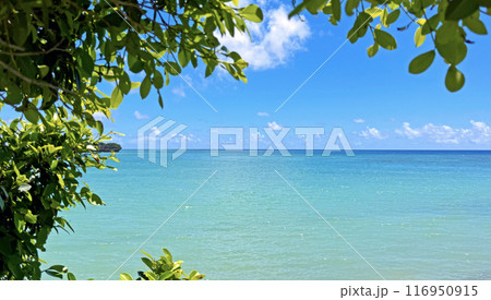 沖縄 夏の美しい海 イメージ 沖縄 夏の美しい海 イメージ 116950915