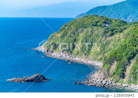 恋人岬　富士山や駿河湾を一望　海に沈む夕陽も絶景　西伊豆 116950945