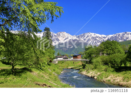 姫川と北アルプス・大出公園(長野県・白馬村) 姫川と北アルプス・大出公園(長野県・白馬村) 116951118