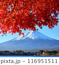 紅葉と冠雪した富士山 116951511