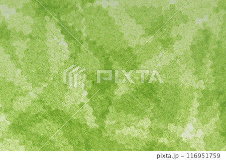 和紙によるグラデーション背景素材 116951759