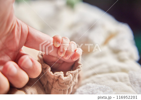 新生児 新生児 116952201