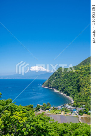 煌めきの丘 太陽の位置によって海面がキラキラと煌めく 紺碧の駿河湾を挟んで井田地区と富士山を一望 煌めきの丘 太陽の位置によって海面がキラキラと煌めく 紺碧の駿河湾を挟んで井田地区と富士山を一望 116952861