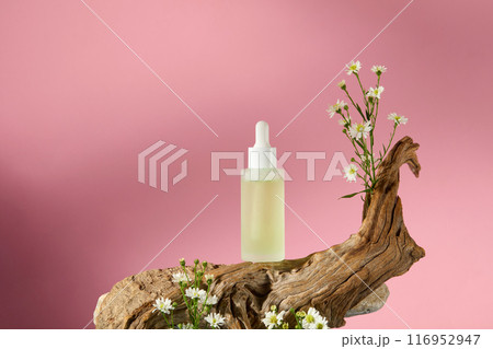 A serum glass container for natural cosmetics advertising displayed on a log, decorated with plenty tanacetum flowers, against on pink background. Front view, space for text A serum glass container for natural cosmetics advertising displayed on a log, decorated with plenty tanacetum flowers, against on pink background. Front view, space for text 116952947
