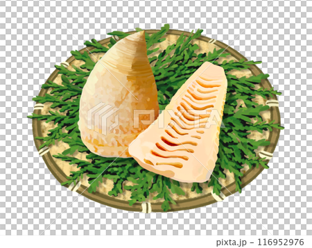 Boiled bamboo shoots (with colander and cypress leaves) Boiled bamboo shoots (with colander and cypress leaves) 116952976
