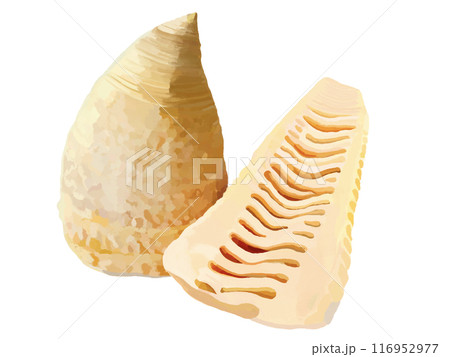 たけのこの水煮 たけのこの水煮 116952977