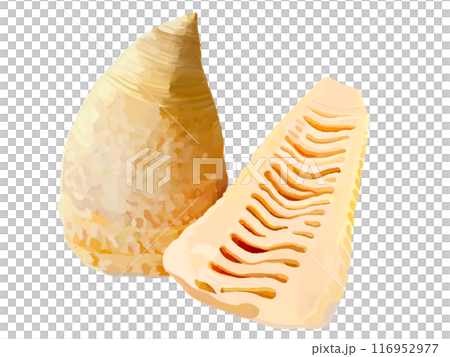 たけのこの水煮 たけのこの水煮 116952977