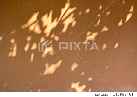 The image is a blurry shadow of a tree on a wooden surface 116953461