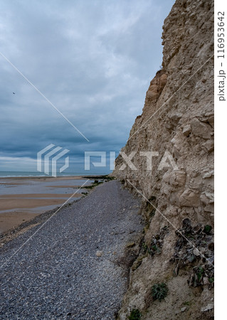 The coastal cliff provides a stunning view with dramatic cloudy skies in the background The coastal cliff provides a stunning view with dramatic cloudy skies in the background 116953642