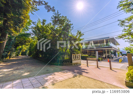 日本の寒川都市景観　相模國一之宮 寒川神社。鎮守の杜　Koyo　紅景…＝令和6年7月21日 116953806