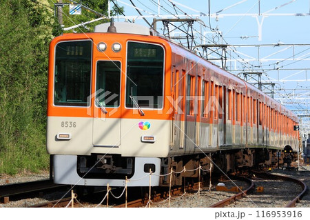 【阪神】8000系 直通特急(山陽電鉄本線:霞ヶ丘〜舞子公園) 【阪神】8000系 直通特急(山陽電鉄本線:霞ヶ丘〜舞子公園) 116953916