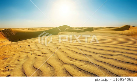 Calm and vast expanse of a desert 116954069