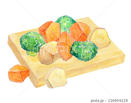 まな板の上のカット野菜　水彩イラスト 116954229