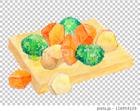 まな板の上のカット野菜　水彩イラスト 116954229