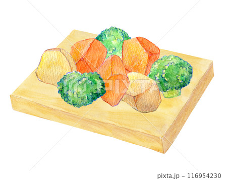 まな板の上のカット野菜　水彩イラスト 116954230