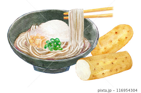とろろ蕎麦　とろろ芋　水彩イラスト 116954304