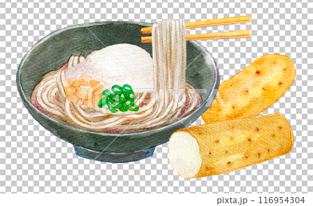 とろろ蕎麦　とろろ芋　水彩イラスト 116954304