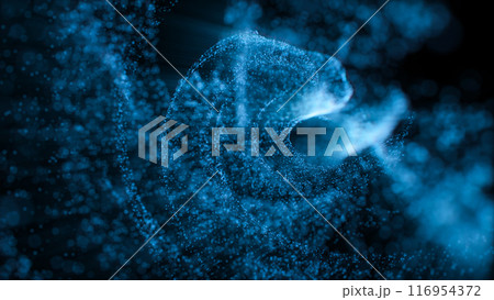 立体 3次元 3D 116954372