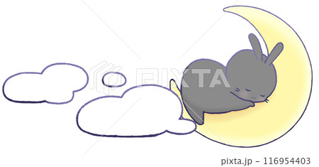 三日月の上で眠る黒うさぎと雲 三日月の上で眠る黒うさぎと雲 116954403