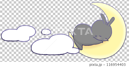 三日月の上で眠る黒うさぎと雲 三日月の上で眠る黒うさぎと雲 116954403