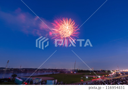 《東京都》葛飾花火大会・日本の夏 116954831