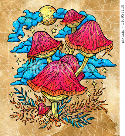 Vintage illustration with mystic mushrooms, magic and floral decorative elements, witchcraft symbols against textured background. Esoteric and witchy concept, hand drawn colorful poster or card 116955119