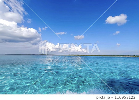 メキシコのコスメル島の透き通った海 メキシコのコスメル島の透き通った海 116955122