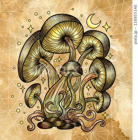 Vintage illustration with mystic mushrooms, magic and floral decorative elements, witchcraft symbols against textured background. Esoteric and witchy concept, hand drawn colorful poster or card 116955140