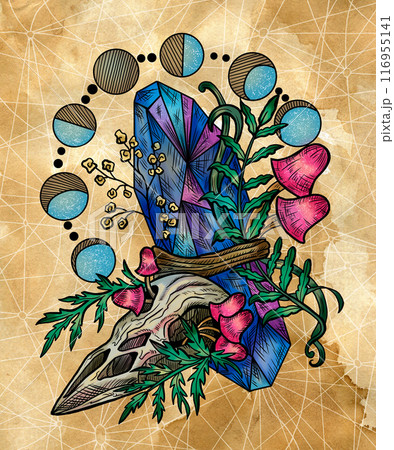 Vintage illustration with mystic mushrooms, magic and floral decorative elements, witchcraft symbols against textured background. Esoteric and witchy concept, hand drawn colorful poster or card 116955141