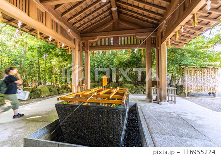 日本の寒川都市景観　相模國一之宮 寒川神社・手水舎など望む＝令和6年7月21日 116955224